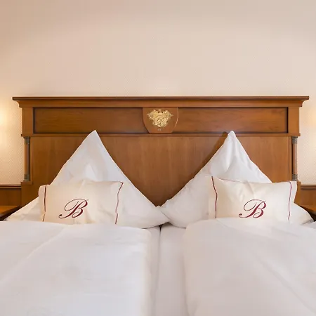 Bellevue Rheinhotel بوبارد
