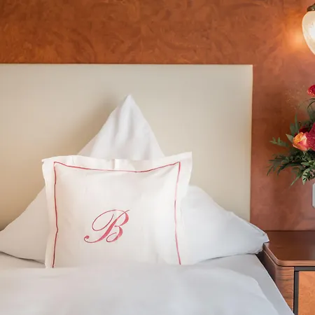 Bellevue Rheinhotel فندق 4*