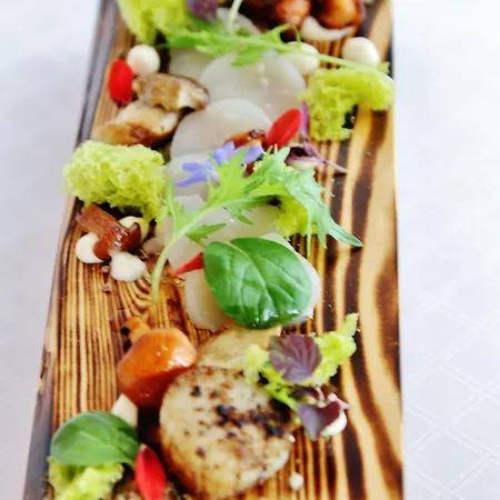 Bellevue Rheinhotel بوبارد