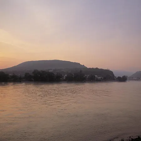 Bellevue Rheinhotel 호텔 4*