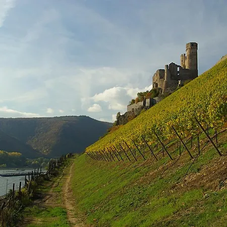 Otel Bellevue Rheinhotel Boppard