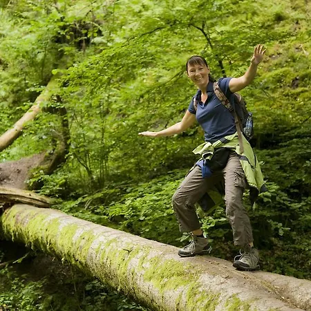 Bellevue Rheinhotel 보파르트