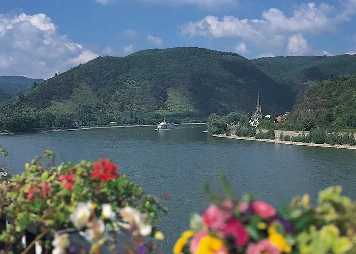 Bellevue Rheinhotel Hotel