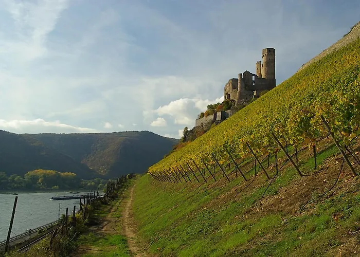 Hotel Bellevue Rheinhotel Boppard