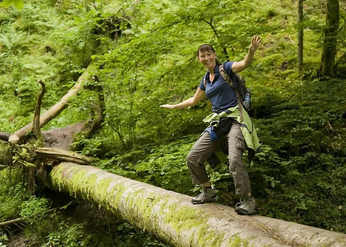 Bellevue Rheinhotel Boppard